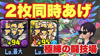 【パズドラ】極練で2枚同時レベル上げ、一体あたり実質2分半なので高速周回w 【極練の闘技場】元パズバト全国１位ノッチャが老眼に負けず頑張る動画 vol.411