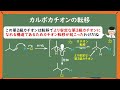 【大学有機化学】アルケンへのハロゲン化水素の付加をわかりやすく徹底解説