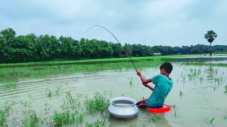 Amazing Hook Fish Hunting | Traditional Hook Fishing | Rural Fishing Bd (Part-80)