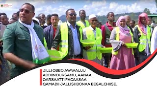 Jilli Obbo Awwaluu Abdiin Dursamu, Aanaa Qarsaatti Facaasaa Qamadii Jallisii Bonaa Eegalchiise.