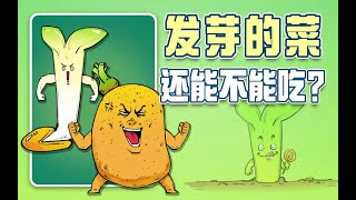 混知漫画｜发芽的菜还能不能吃？这个视频告诉你