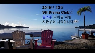 [SH Diving Club] 191206 팔라우 스쿠버다이빙 투어 1일차_MK DIVE 다이브리조트