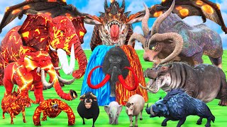 5 Mammoth Elephant Lava vs Giant Tiger Bull Wolf Attack Baby Animals Crossing Fountain Transformatio