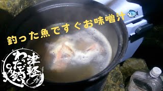 2025年釣り始め🎣釣った魚でお味噌汁作ります(じんたんが)