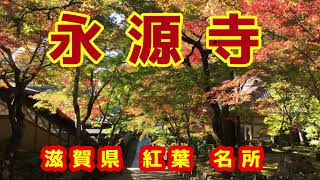 【永源寺の紅葉】総門から山門へ至る参道の景色は ...