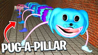 PJ PUG-A-PILLAR - New Poppy Playtime Creature (Garry's Mod)