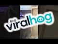 Cat Tries To Scare The Bird || ViralHog