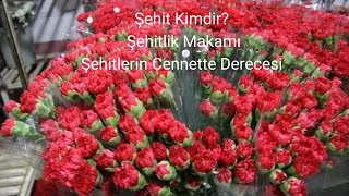 Şehit Kimdir, Şehitlik Makamı, Şehitlerin Cennette Derecesi