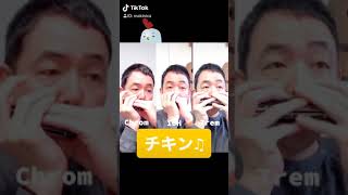 THE CHICKEN(チキン)♫3種類のハーモニカでセッション♪【今朝のハーモニカ♫】