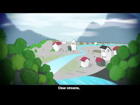 What is the meaning of mossy forest?