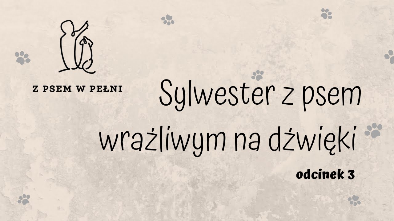 Odc_3__ Sylwester Z Psem Wrażliwym Na Dźwięki. BUDOWANIE POCZUCIE ...