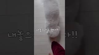 아니#이럴수가#진짜#얄미워~