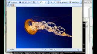 Image Processing with Java #5 Canvas