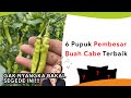 6 Pupuk Pembesar Buah Paling Bagus dan Manjur!