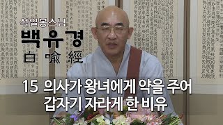 백유경 제11회 - 의사가 왕녀에게 약을 주어 자라게 하는 비유