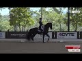 grand prix cdi3* 4cyte dressage by the sea cdi 2025 willinga park