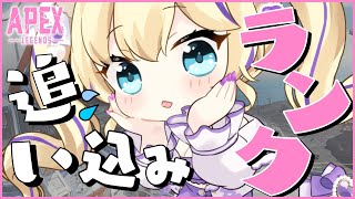 【 APEX 】 怒涛のラストスパート！応援頼むゥううぅ おやすみのお供にどうぞ💜【 ネメシス Vtuber 猫咲あんじ Apex女子 ApexLegends 癒しの声  】