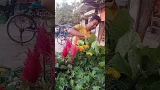 আল্লাহর অপরুপ সুন্দর সৃষ্টি #flowers #shorts #foryou