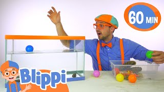 Will it Sink or Float? Learn about Density with Blippi! | Preschool Learning | Moonbug Tiny TV