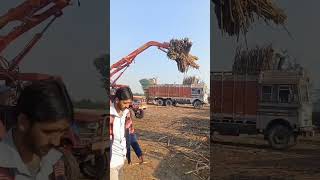 Mahindra Arjun novo tractor with loader गन्ने की खेती #farmingvideos #sugarcane #khetibadi #tractor