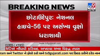 છોટાઉદેપુરઃ નેશનલ હાઇવે-56 પર અસંખ્ય વૃક્ષો ધરાશાયી, વૃક્ષો ધરાશાયી થવાથી વાહનવ્યવહારને માઠી અસર