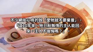 你是他生命的全部！主人離開前騙「你在這等」 忠犬原地苦守10年