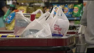 Pittsburgh City Council votes to ban single-use plastic bags | WPXI