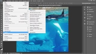 Photoshop-Skripte verwenden - Die Photoshop-Profis - Folge 136