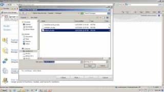 SQL Server 2008 R2: Master Data Services: Getting Started