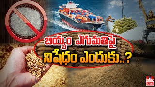 ప్రపంచంలో బియ్యం కరువు..| Why India Ban Rice Export | hmtv