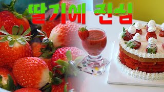 🍓딸기에 진심🍓  | 전국시대 250123 방송