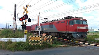 【2023/06/25･東北本線を走る貨物列車】851ﾚ(下り 仙台タ→陸前山王･EH500-74牽引) 東仙台－岩切間にて