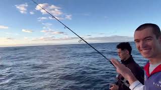 A typical day fishing with baits and jigs 30-70klms offshore Gold Coast Australia 🇦🇺