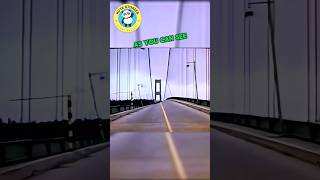 The Shocking Bridge Collapse