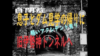 【愛知県豊田市旧伊勢神トンネル　（Old Isegami Tunnel）】息子とダム見学の帰りに旧伊勢神トンネルへ