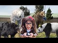 Bears For Kids | Soso Brings Her Bear Animal Toys To Life!