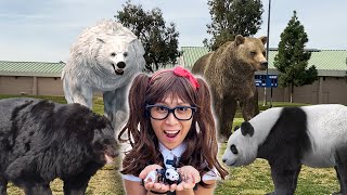 Bears For Kids | Soso Brings Her Bear Animal Toys To Life!