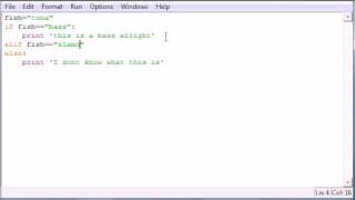 Python Programming Tutorial - 21 - else and elif