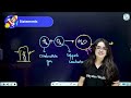 chemical reactions u0026 equations one shot full chapter line by line class 10th science chapter 1