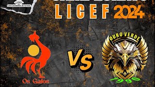 LICEF 2024 , OS GALOS X OURO VERDE,  CAT ADULTO