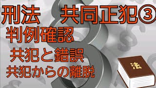 【音声メイン】刑法#18 共同正犯③【イヤホン推奨】