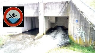 Regenrückhaltebecken Landgraben Griesheim (mit Wasser darin, ich war entzückt) - 05.08.2023