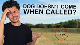 Your Dog Doesn't Come? 3 Common Mistakes