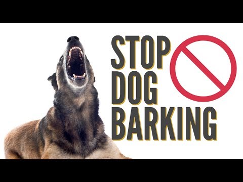How To Quickly Stop Dog Barking How To Quickly Stop Dog Barking