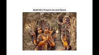 Prayers   Brahma Sb 10.14.1-40  - English Text