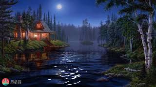 Night Ambient Sounds, Cricket, Swamp Sounds at Night, Sleep and Relaxation Medit