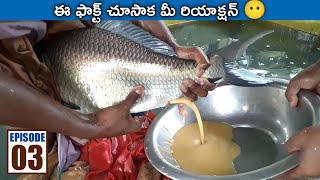 SUPER FACT💲 | How to Produce Baby Catla Fish from Egg || telugu ocean