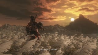 SEKIRO　お米