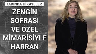 Medeniyetin beşiği, kadim kent Harran | Tadında Hikayeler - 14 Mart 2021