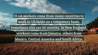 H 2A Worker Rights - 2021 Brief Overview
